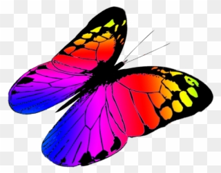 Clip Art Of Butterfly In Flight Clipart Best - Colorful Butterflies Flying Png Transparent Png