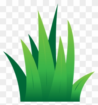 Lawn Clipart Leaves Grass - Clipart Green Grass - Png Download
