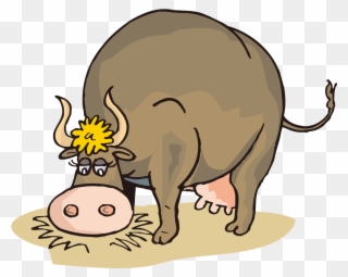 Clip Freeuse Stock Beef Clipart Cow Jersey - Cartoon Cow Eating Hay - Png Download