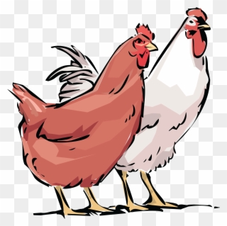 Free Clipart Of A Chicken Hen And Rooster - Hen And Rooster With Chickens Tote Bag - Png Download