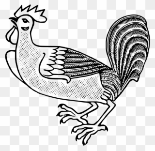 Rooster Welsummer Polish Chicken Livestock Poultry - Chicken Cockerel Pixabay Clipart