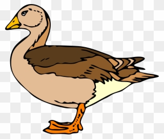 Duck Clipart Side View - Duck Clip Art - Png Download