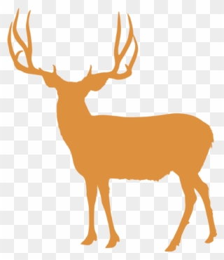 Image Royalty Free Stock Antlers Transparent Mule Deer - Central Mountains Nebo Clipart