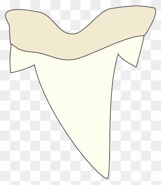 Clipart - Shark Tooth - Simple Shark Tooth Drawing - Png Download