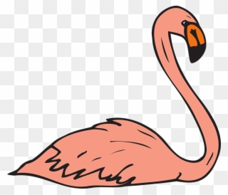 Pink Bird Swimming Wings Flamingo Long Neck - Flamingo Birds Swimming Clipart