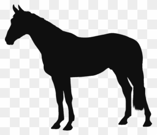 Click To Enlarge - Free Horse Svg Clipart