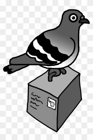 The Pigeon Post Project Is Developing A System Of Technologies - Pigeon Post Clipart