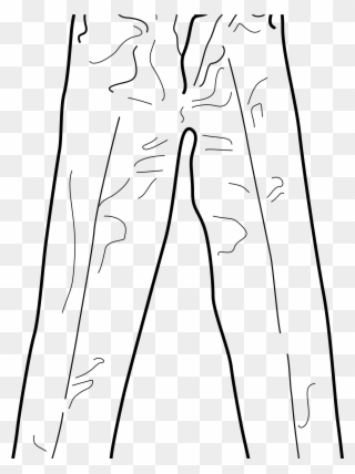 Big Image - Pants Clip Art - Png Download
