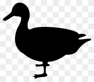 Jpg Transparent Download Duck Svg Png Icon Free Download - Duck Svg Clipart