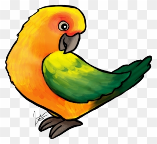 Jen's Dogs Has Posted It's First Bird Art The Sun Conure - Conure Clipart