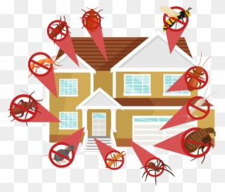 Professional Pest Control Companies Will Go An Extra - Protect From Pest Home Clipart