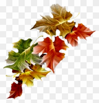 Automne - Free Animated Autumn Leaves Gifs Clipart
