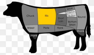 The Rib Section Of Beef Spans From Ribs Six Through - Ribeye Steak Clipart