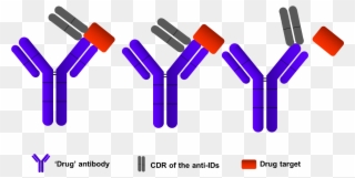 Elisa Assays Development - Anti Drug Antibody Clipart