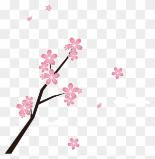 Japan Blossom Branches And Petals Transprent Png - รูป ดอก ซากุระ การ์ตูน Clipart