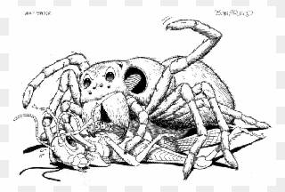 Drawn Spider Cartoon - Spider Cartoon Sketch Clipart