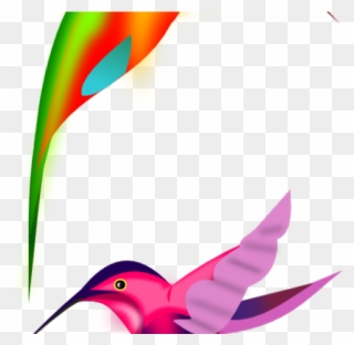 Hummingbird Clipart Humming Bird - Birds Clipart - Png Download