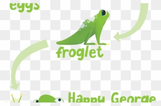 Happy George Frog Li - Toad Clipart