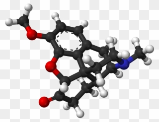 Hydrocodone Spartan Pm3 3d Balls - Hydrocodone Molecule Clipart