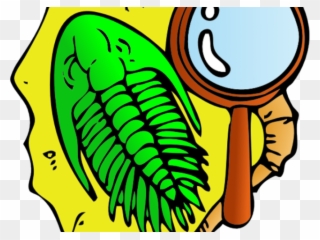 Fossil Clipart Geology Rock - Fossil Clip Art - Png Download