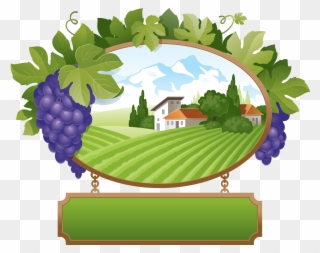 Forgetmenot Fruits Grapes - Uva Clipart