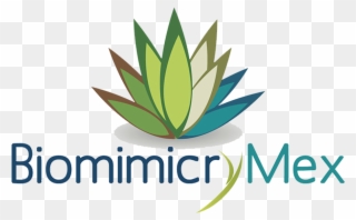 Logo Biomimicry Mex - Logo Clipart