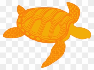 Sea Turtle Clipart Olive Ridley - Gambar Kartun Kura Kura - Png Download
