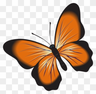 Butterfly,orange,clip - Png Download