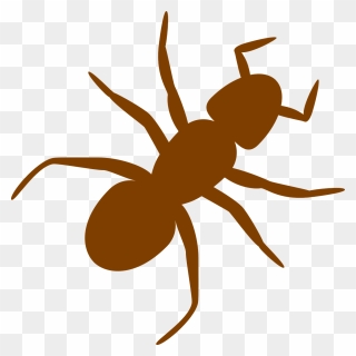 Brown Ant Svg Clip Arts 600 X 600 Px - Png Download