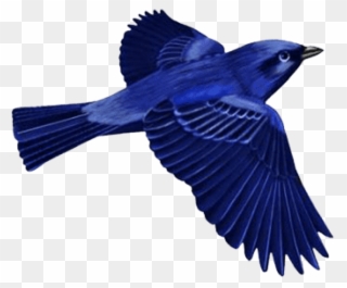 Dark Blue Bird Clip-art Png - Dark Blue Bird Png Transparent Png