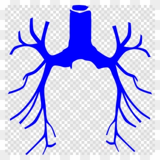 Animal Lung Clipart - Png Download