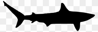 Silhouette Clipart Shark - Mako Shark Shark Silhouette - Png Download