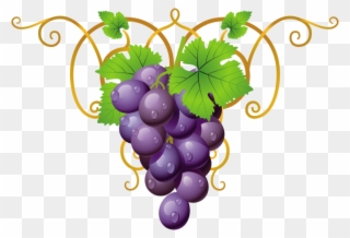 Holiday Decorations - Transparent Clipart Grape Vine Png
