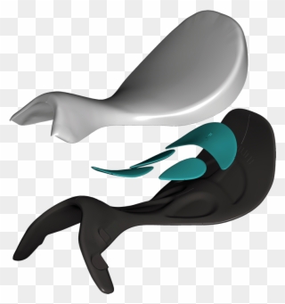 Equiline Nick Skelton Jumping Saddle - Sella Equiline Clipart