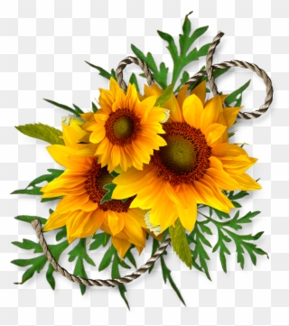 Cheyokota Digital Scraps Transfer Decoupage Kwiaty - Clipart Sunflowers - Png Download