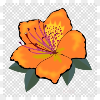 Flower Clipart Flower Clip Art - Montessori Conjunction The Farm - Png Download