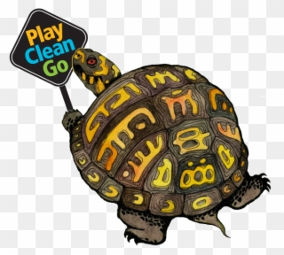 Free Land Turtle Clipart - Play Clean Go - Png Download