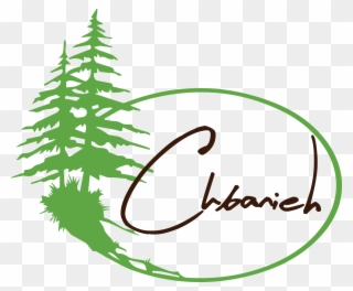 Chbaniye Logo - Pine Trees Drawing Easy Clipart