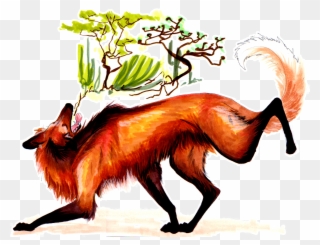 The Maned Wolf Is A Canid From South America That Lives - Maned Wolf Clipart