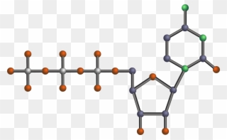 Nucleotide Dna Pyrimidine Rna Png Image Clipart