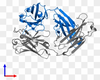 <div Class='caption-body'>pdb Entry 4r90 Contains 1 - Illustration Clipart