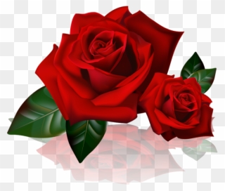 Rose Art, Beautiful Flowers, Red Flowers, Red Roses, - Buongiorno Amore Buon Sabato Clipart