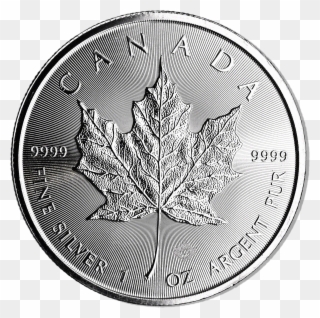 Canadian Silver Maple Leaf Clipart