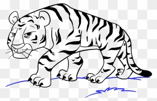 Drawn Cartoon Tiger - Cartoon Tiger To Draw Clipart