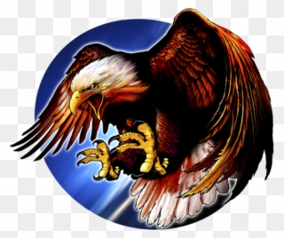 Patriotic Fabric Eagle Fabric Custom Panel - Accipitridae Clipart