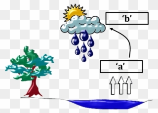 Diagram Of Water Cycle - Does Temperature Affect The Water Cycle Clipart