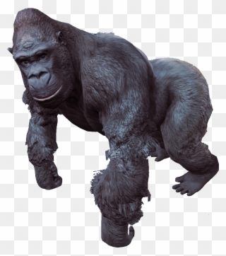 4 Png - Fallout 4 Synthetic Gorilla Clipart