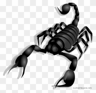 Clip Royalty Free Stock Page Of Clipartblack Com Animal - Home Remedies For Scorpions Bites - Png Download
