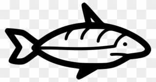 Shark Ii Comments - Animal Clipart