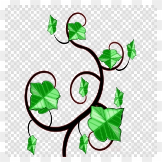 Ivy Clipart Clip Art - Vines Ivy Drawing - Png Download